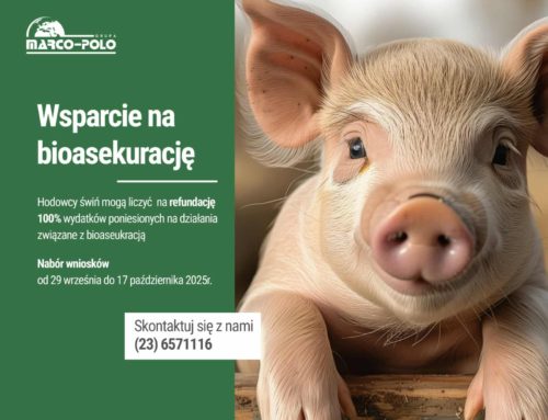 Afrykański pomór świń (ASF) – co muszą wiedzieć hodowcy